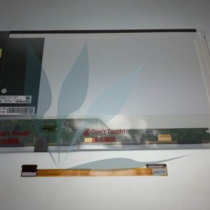 Dalle LCD 17.3 pouces WXGA HD+ LED+Cable adaptateur MAT pour Packard Belle EG70 (Si le connecteur de votre dalle est du coté opposé à celui de la dalle de notre photo, sinon commandez le modèle sans câble)