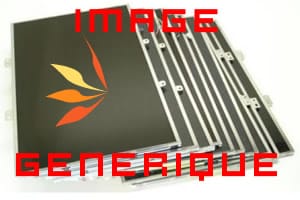 Écran 14 WXGA (1366X768) HD Brillant pour Travelmate TM4750